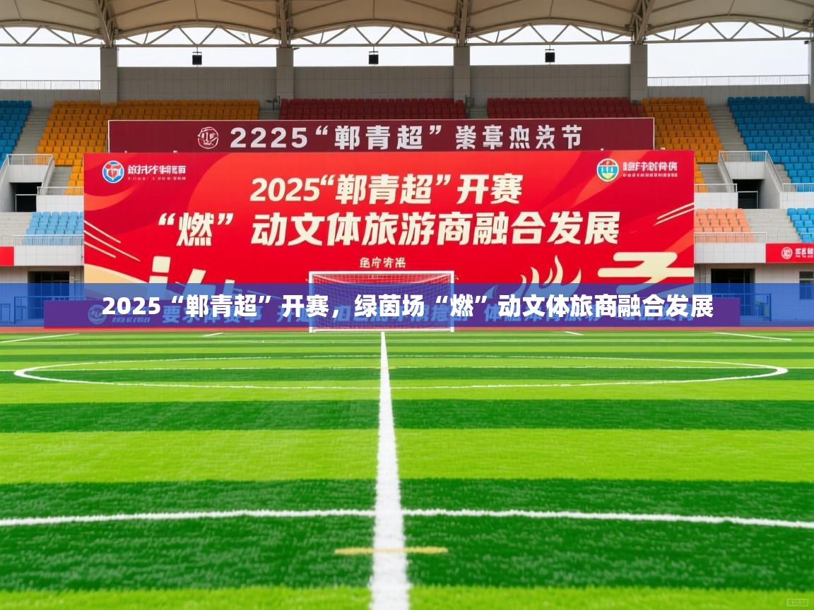 2025爱游戏体育在线2025“郸青超”开赛,绿茵场“燃”动文体旅商融合发展 第2张