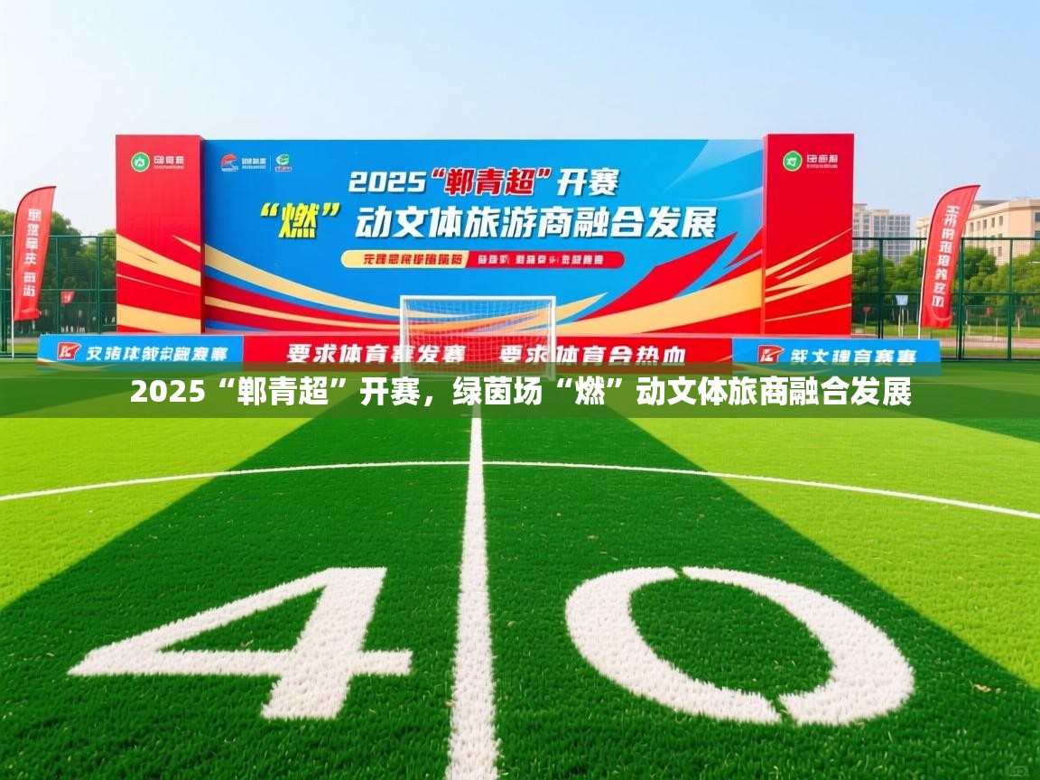 2025爱游戏体育在线2025“郸青超”开赛,绿茵场“燃”动文体旅商融合发展 第3张