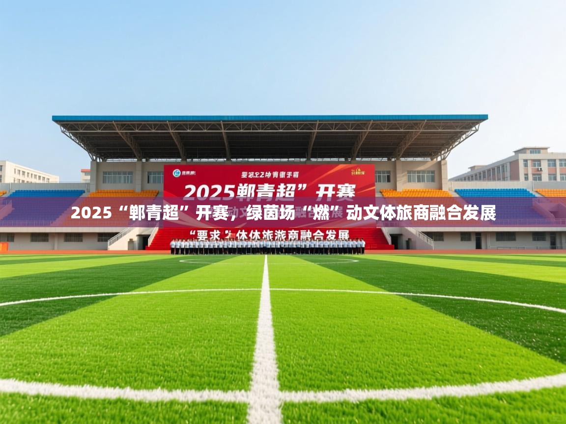 2025爱游戏体育在线2025“郸青超”开赛,绿茵场“燃”动文体旅商融合发展 第4张