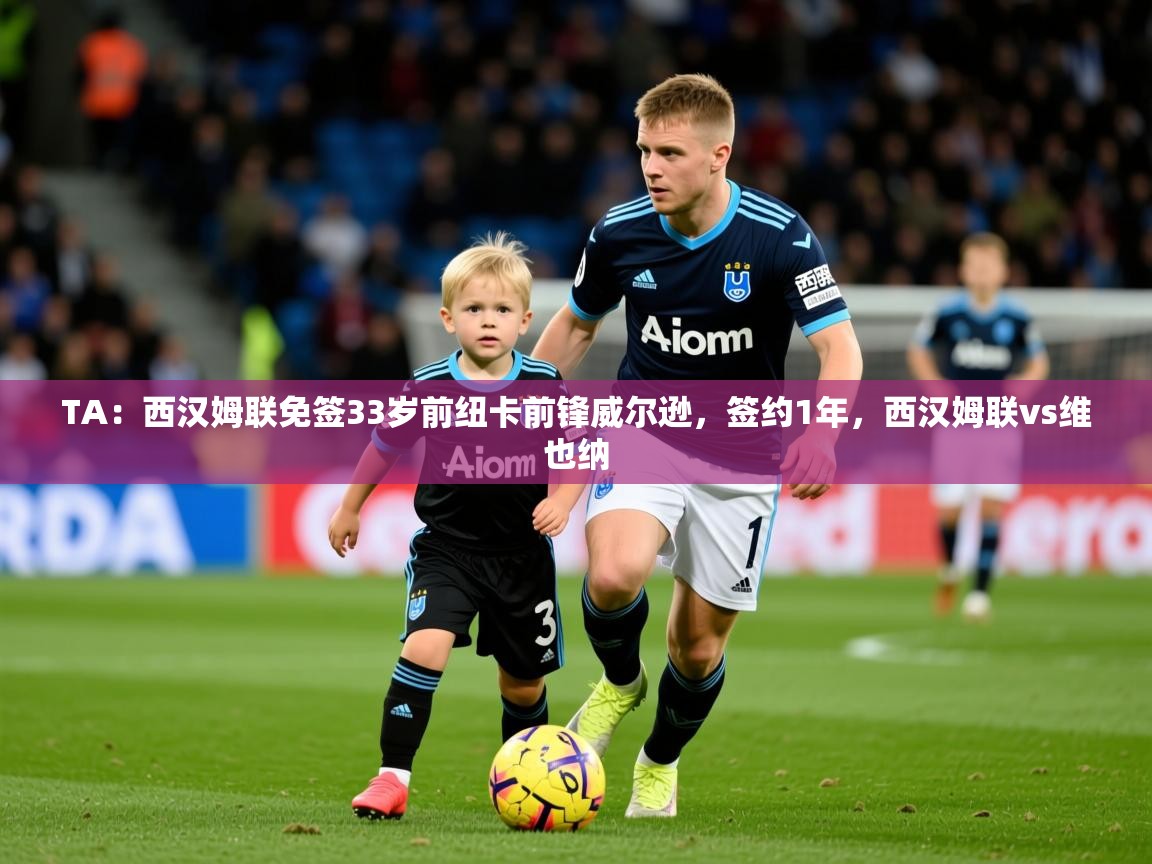 2025爱游戏体育注册活动TA：西汉姆联免签33岁前纽卡前锋威尔逊，签约1年，西汉姆联vs维也纳  第4张
