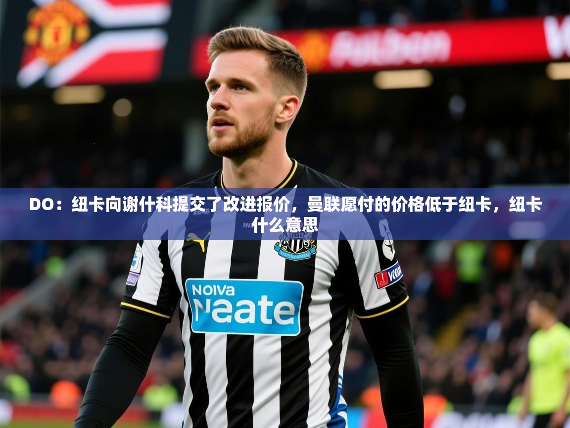 2025爱游戏体育在线登录入口DO：纽卡向谢什科提交了改进报价，曼联愿付的价格低于纽卡，纽卡什么意思  第1张