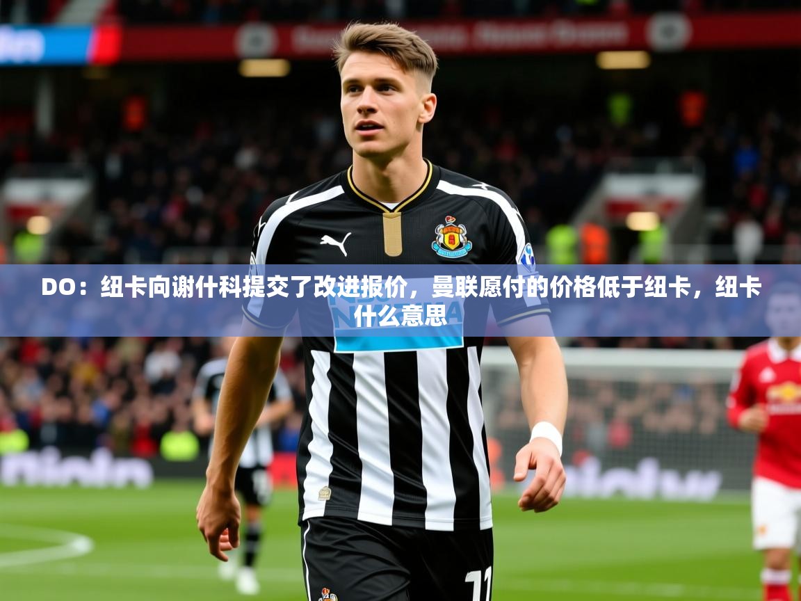 2025爱游戏体育在线登录入口DO：纽卡向谢什科提交了改进报价，曼联愿付的价格低于纽卡，纽卡什么意思  第3张