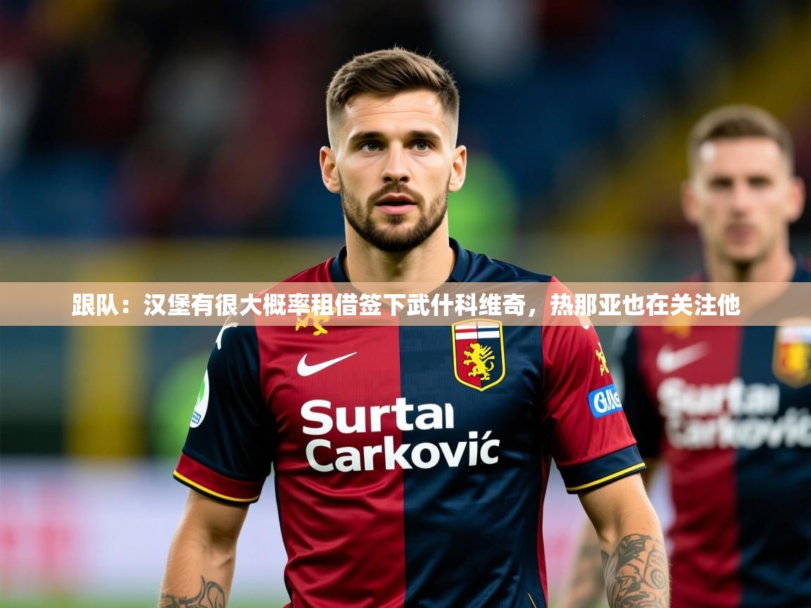 2025爱游戏体育app入口跟队：汉堡有很大概率租借签下武什科维奇，热那亚也在关注他  第1张