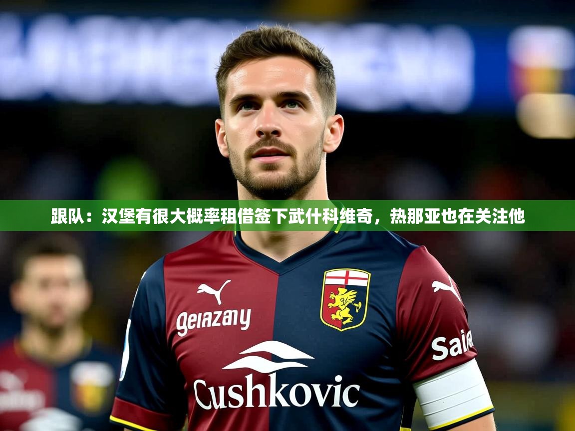 2025爱游戏体育app入口跟队：汉堡有很大概率租借签下武什科维奇，热那亚也在关注他  第2张