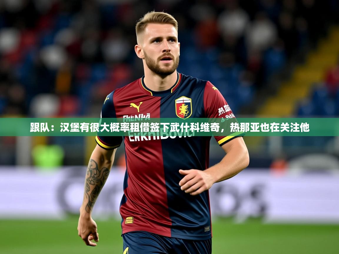 2025爱游戏体育app入口跟队：汉堡有很大概率租借签下武什科维奇，热那亚也在关注他  第3张