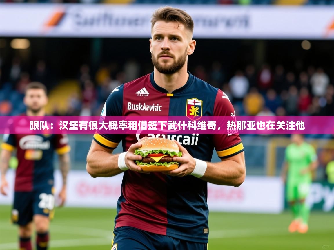 2025爱游戏体育app入口跟队：汉堡有很大概率租借签下武什科维奇，热那亚也在关注他  第4张