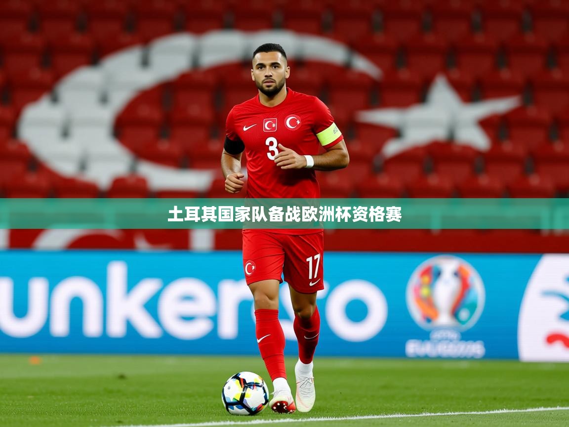 2025爱游戏体育app土耳其国家队备战欧洲杯资格赛  第1张