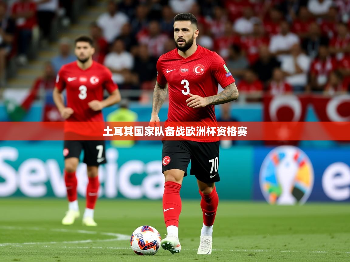 2025爱游戏体育app土耳其国家队备战欧洲杯资格赛  第2张