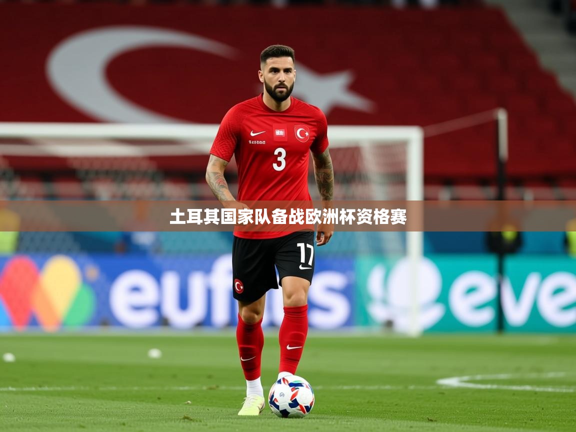 2025爱游戏体育app土耳其国家队备战欧洲杯资格赛  第3张