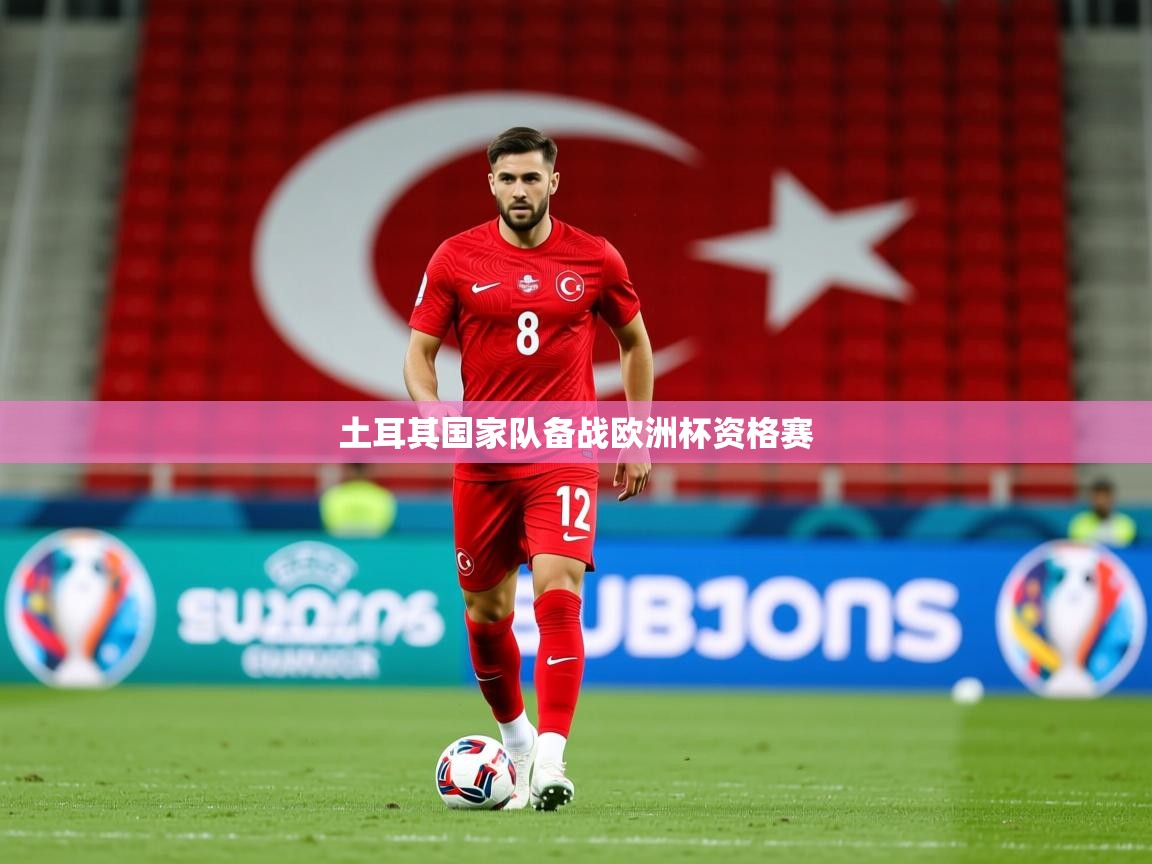 2025爱游戏体育app土耳其国家队备战欧洲杯资格赛  第4张