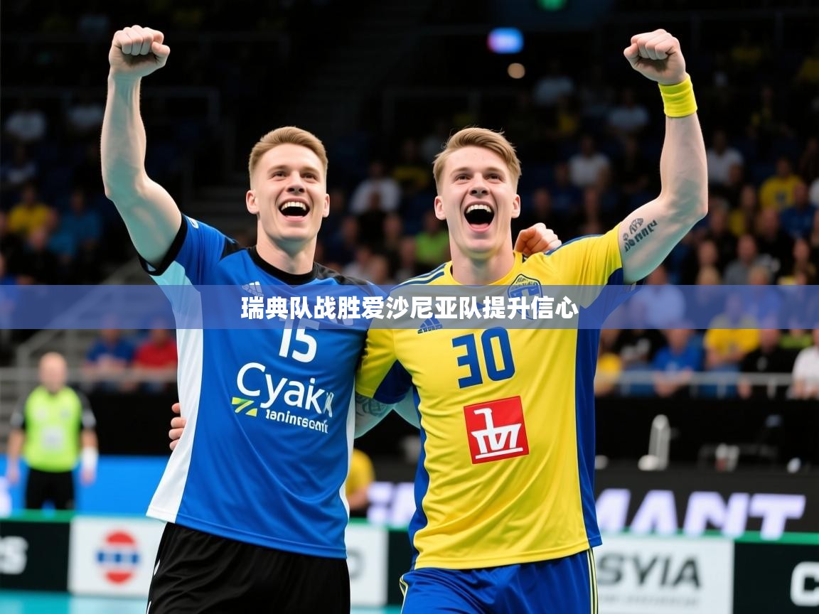 2026爱游戏体育app瑞典队战胜爱沙尼亚队提升信心 第2张