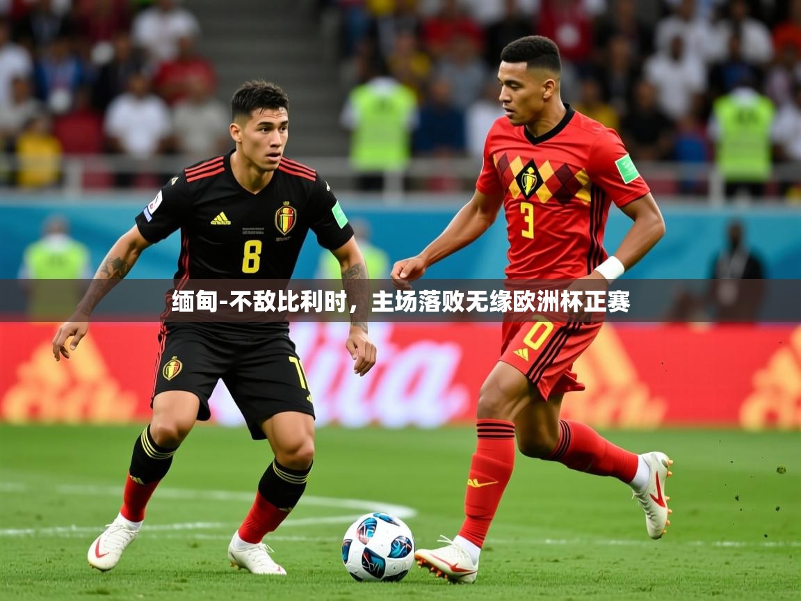 2026爱游戏体育在线app缅甸-不敌比利时,主场落败无缘欧洲杯正赛 第3张